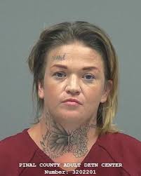 Pinal County Sheriff's log, 10/07/23