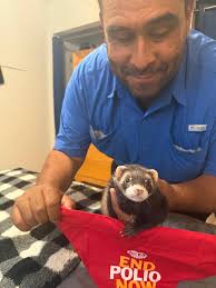 Welcome to the Klub, Fergus! Fergus's pawrent William McCarthy has titled  this photo “Fabulous Fergus Fighting Fearlessly to End Polio Now!” 🐾🏅