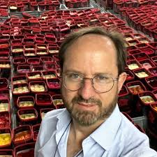 hilton #forthestay #gratitude