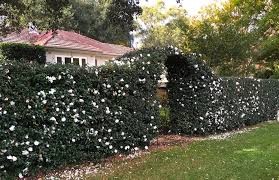 Please give us a call with questions, there are many different types of conventional fencing and we want to make sure you're ordering what you need for what you have. Your Front Fence Should Not Be An Afterthought Realestate Com Au