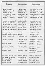 Nouns Adjective Declensions Paradigms Latin For Rabbits