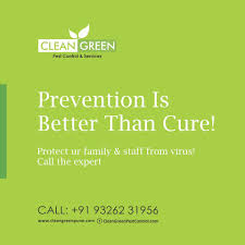 Safe solutions that promote a better environment indoors. Clean And Green Pest Control Home Facebook
