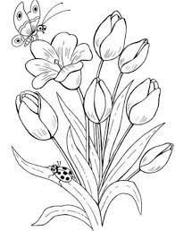 Bunga tasbih adalah tanaman yang tergolong tanaman luar dengan nama latin canna lily. 39 Gambar Sketsa Bunga Indah Sakura Mawar Melati Matahari Anggrek Teratai