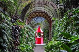 Jardin Botanico Ogrod Botaniczny W Puerto De La Cruz Teneriffa Urlaub Teneriffa Urlaub