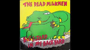 Big lizard in my backyard can't afford to feed him anymore big lizard in my backyard bustin' down my neighbour's door. Big Lizard In My Backyard The Dead Milkmen Youtube