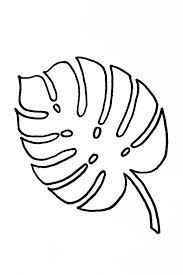 Palm tree leaf template printable. Outline Tropical Palm Leaf Template Novocom Top