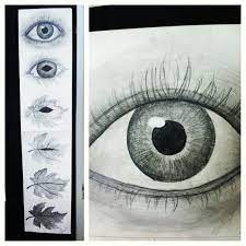 Eye-To-Leaf Transformation Drawing (Spring 2013) | Metamorphosis Art, Art  Projects, Art Education Lessons