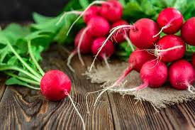 Radishes are furthermost regularly used in their raw method in salads. Can Rabbits Eat Radishes Vet Explains Pets