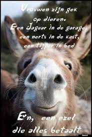 Dit Is Zoals Het Moet Citaten Grappig Grappige Gezegden Grappige Teksten