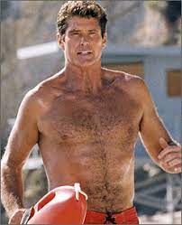 In honor of hasselhoff's upcoming birthday, we take a look at some fun facts about his life. Baywatch Wikipedia