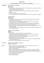 The steward position is one that requires that i am often in constant motion attending to a myriad did tasks. Chief Steward Resume Samples Velvet Jobs