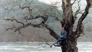 La morte è una pietra levigata attaccata alla coda di un pesce e al ventre squamoso di una serpe. Primavera Estate Autunno Inverno E Ancora Primavera Quinlan It