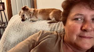 Playing with chiweenie companion