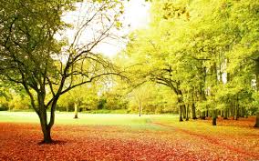 Contoh sederhananya, pas foto merah. Nature Backgrounds Hd Wallpaper Alam Yang Indah Gambar Latar Belakang Wallpaper Alam Yang Indah