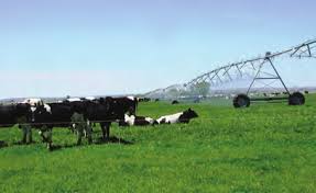 frontmatter_Layout 1