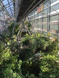 hortus botanicus leiden holland