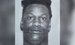 MSU experts: no Asian hornets in Mississippi