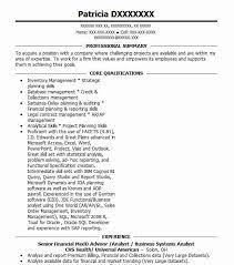 Our senior management team relies heavily on financial analysts to suggest the most appropriate course of action, and all analysts should be comfortable. Senior Financial Systems Analyst Resume Example Company Name Palatine Illinois