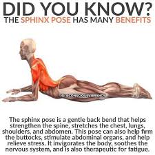 Yoga And Stretching Exercises With Correct Form And Satisfying Results Gymguider Com Yoga Benefits Yoga Backbend Yoga Postures
