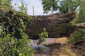 Eva miller kinky onlyfans she was similar to the images,