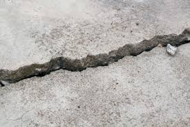 Concrete/sidewalk mites concrete mites (or sidewalk mites) are red velvety mites (figure 2) that crawl over pavement, patios, foundations, and other outdoor surfaces in early summer. Bugs And Your Foundation What You Need To Know