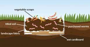 How To Make A Worm Bed | Lovetoknow