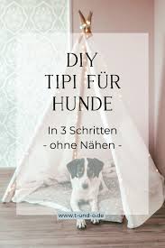Pin Auf Hundehutte Diy