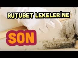Rutubet kokusu her evde yaşanabilen durumlardan biridir. Evdeki Rutubetten Kurtulamiyorsaniz Mutlaka Bunu Yapin Youtube