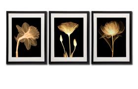 5 out of 5 stars. Black White And Gold Wall Art Canvas Prints Decor Framed Flowers Painting Poster Printed On Canvas Poppy Flower Pictures 3 Piece Black Frames White Mat Artworks For Home And Offcie Decorations Buy