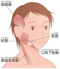 老け見え顔の原因はストレスによる 食いしばり 2021 顔 老け顔 顔のエクササイズ