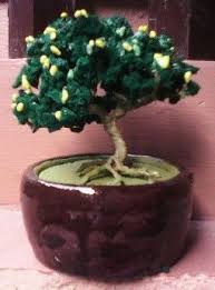 A bonsai tree can come from bonsai tree seeds, cuttings, or a prebonsai tree. Bonsai Garden Items Supplies Rizal Philippines Brand New 2nd Hand For Sale Page 1