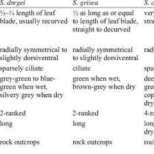 Image result for Selaginella nivea