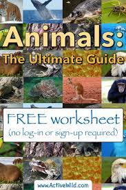 Animals The Ultimate Guide To The Animal Kingdom Information Fun Facts Awesome Pictures For Kids Students Adults Animal Facts For Kids Animal Facts Printable Animal Pictures