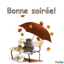 RÃ©sultat de recherche d'images pour "bonne soirÃ©e"