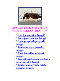 7 tanda demam denggi ketahui punca rawat awal tanda health ever after high. Apakah Yang Anda Perlu Tahu Mengenai Denggi
