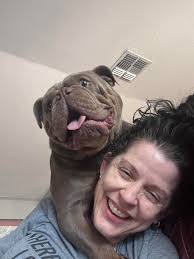 Louis and Bentley's first meeting was a success