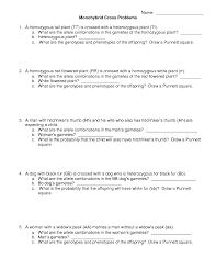 Click to visit website and scroll down to. Monohybrid Cross Practice Worksheet Nidecmege