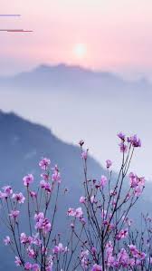 Hintergrund Mobile Hintergrundbilder Hintergrundbild Iphone Einfarbige Tapete Bunt C In 2020 Landscape Wallpaper Mobile Wallpaper Aesthetic Wallpapers Möchte mir einen anderen hintergrund am springboard bei den icons zulegen. pinterest
