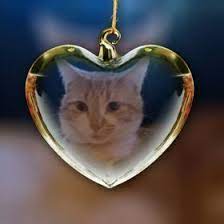 Lynn Saunders Lynnduncan700 Profile Pinterest