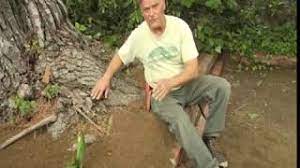 Maybe you would like to learn more about one of these? Covering Exposed Roots On An Italian Stone Pine Prune Like A Pro Youtube