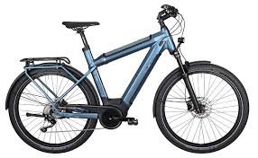 E Bike Manufaktur 15zehn Ext 2020 27 5 Zoll Gunstig Kaufen Fahrrad Xxl