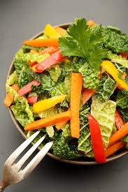 Asiatischer Wirsing Kohl Salat Mit Mohren Und Paprika Wirsing Salat Wirsing Wirsingkohl