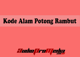 Bahasan kedua belas adalah mengenai mimpi memangkas rambut anak kecil. Kode Alam Potong Rambut Menurut Erek Erek 2d 3d 4d Akurat