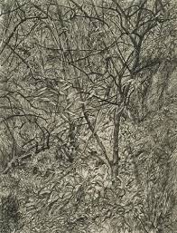 Garden In Winter By Lucian Freud On Friends Of Art Net Lucian Freud Freud Art