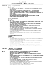 Database Developer Resume Samples Velvet Jobs