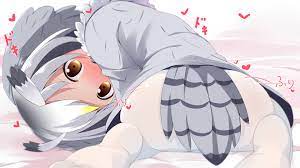 Anime :: Kemono Friends :: Northern White-Faced Owl (Kemono Friends) ::  Animal Ears (Anime) :: Makuran - JoyReactor