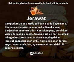 Plantae divisio :spermatophyta sub division : Koleksi Viral Rahsia Kebaikan Campuran Madu Dan Kulit Facebook