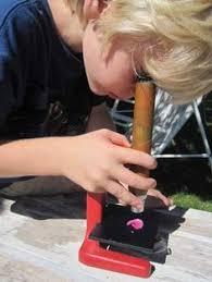 Biology The Unity And Diversity Of Life 15th Edition Answer Key Visible Body Animations And Illustrations School Ciencia