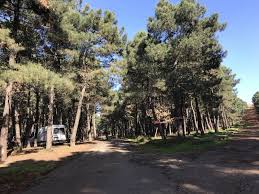 Piknik sahaları, büfesi ve koşu parkurları oldukça bakımlıdır. Aydos Ormani Ne Gordum