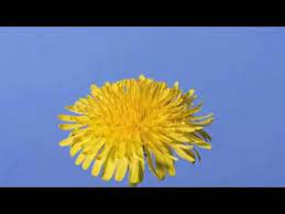 Pin On Second Grade Teaching Ideas